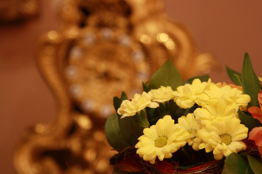 «Цветы Устюжны» представят на традиционной музейной выставке
